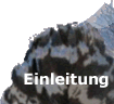 Einleitung