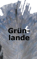 Grünlande