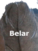 Belar